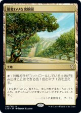 風変わりな果樹園/Exotic Orchard 【日本語版】 [C19-土地R]