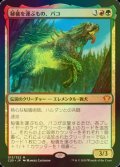 [FOIL] 秘儀を運ぶもの、パコ/Pako, Arcane Retriever 【日本語版】 [C20-金MR]