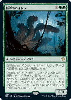 画像1: 巨森のハイドラ/Vastwood Hydra 【日本語版】 [C20-緑R]