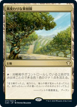 画像1: 風変わりな果樹園/Exotic Orchard 【日本語版】 [C20-土地R]