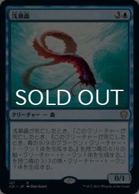 浅瀬蟲/Reef Worm 【日本語版】 [C21-青R]