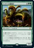 ハイドラの繁殖主/Hydra Broodmaster 【日本語版】 [C21-緑R]