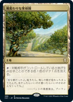 画像1: 風変わりな果樹園/Exotic Orchard 【日本語版】 [C21-土地R]