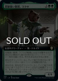 忍耐強い教授、ラクサ/Ruxa, Patient Professor (拡張アート版) 【日本語版】 [C21-緑R]