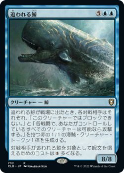 画像1: 追われる鯨/Pursued Whale 【日本語版】 [CLB-青R]