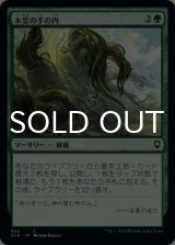木霊の手の内/Kodama's Reach 【日本語版】 [CLB-緑C]