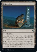 星明りの聖域/Starlit Sanctum 【日本語版】 [CLB-土地U]