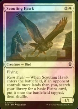 画像1: [FOIL] 偵察の鷹/Scouting Hawk 【英語版】 [CLB-白C]