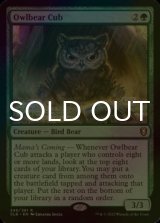 [FOIL] アウルベアの仔 /Owlbear Cub 【英語版】 [CLB-緑R]