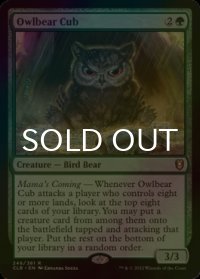 [FOIL] アウルベアの仔 /Owlbear Cub 【英語版】 [CLB-緑R]