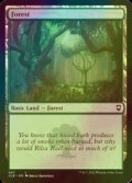 [FOIL] 森/Forest No.467 【英語版】 [CLB-土地C]