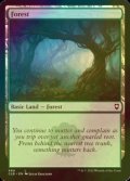 [FOIL] 森/Forest No.469 【英語版】 [CLB-土地C]