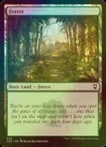 [FOIL] 森/Forest No.470 【英語版】 [CLB-土地C]