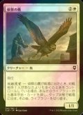 [FOIL] 偵察の鷹/Scouting Hawk 【日本語版】 [CLB-白C]