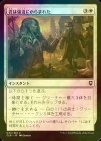 [FOIL] 君は強盗にからまれた/You're Confronted by Robbers 【日本語版】 [CLB-白C]