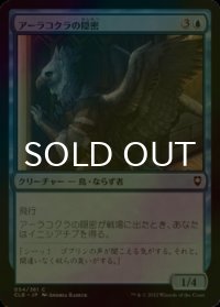 [FOIL] アーラコクラの隠密/Aarakocra Sneak 【日本語版】 [CLB-青C]