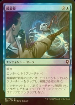 画像1: [FOIL] 朦朧撃/Stunning Strike 【日本語版】 [CLB-青C]