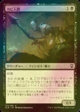 [FOIL] カビ人間/Mold Folk 【日本語版】 [CLB-黒C]