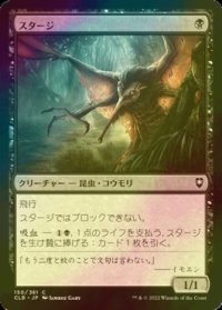 [FOIL] スタージ/Stirge 【日本語版】 [CLB-黒C]