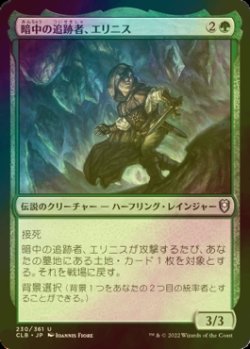 画像1: [FOIL] 暗中の追跡者、エリニス/Erinis, Gloom Stalker 【日本語版】 [CLB-緑U]