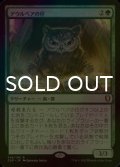 [FOIL] アウルベアの仔 /Owlbear Cub 【日本語版】 [CLB-緑R]