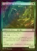 [FOIL] 上品な灰色熊、ウィルソン/Wilson, Refined Grizzly 【日本語版】 [CLB-緑U]