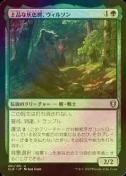 画像1: [FOIL] 上品な灰色熊、ウィルソン/Wilson, Refined Grizzly 【日本語版】 [CLB-緑U]