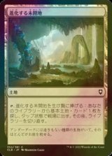 [FOIL] 進化する未開地/Evolving Wilds 【日本語版】 [CLB-土地C]