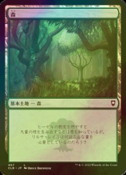 画像1: [FOIL] 森/Forest No.467 【日本語版】 [CLB-土地C]