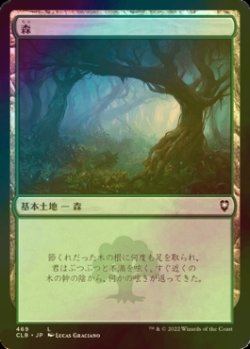 画像1: [FOIL] 森/Forest No.469 【日本語版】 [CLB-土地C]