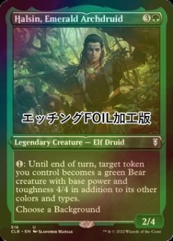 画像1: [FOIL] エメラルドの大ドルイド、ハルシン/Halsin, Emerald Archdruid (エッチング仕様) 【英語版】 [CLB-緑U]