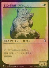 [FOIL] 上品な灰色熊、ウィルソン/Wilson, Refined Grizzly (ショーケース版) 【日本語版】 [CLB-緑U]