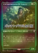 [FOIL] エメラルドの大ドルイド、ハルシン/Halsin, Emerald Archdruid (エッチング仕様) 【日本語版】 [CLB-緑U]