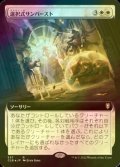 [FOIL] 選択式サンバースト/Sculpted Sunburst (拡張アート版) 【日本語版】 [CLB-白R]