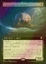 [FOIL] インテレクト・ディヴァウラー/Intellect Devourer (拡張アート版) 【日本語版】 [CLB-黒R]