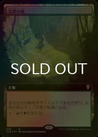 [FOIL] 尖塔の庭/Spire Garden (拡張アート版) 【日本語版】 [CLB-土地R]