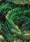 画像1: 隠れ潜むグリーン・ドラゴン/Lurking Green Dragon No.001 (箔押し版) 【日本語版】 [CLB-アート] (1)