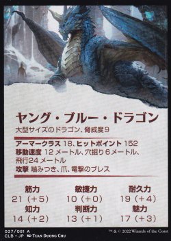 画像2: ヤング・ブルー・ドラゴン/Young Blue Dragon No.027 (箔押し版) 【日本語版】 [CLB-アート]