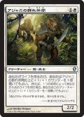 アジャニの群れ仲間/Ajani's Pridemate 【日本語版】 [C13-白U]