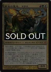 野生の意志、マラス/Marath, Will of the Wild 【日本語版】 [C13-金MR]