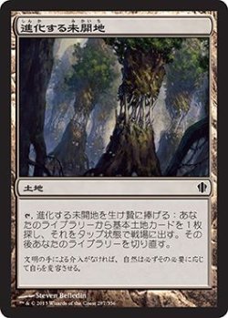 画像1: 進化する未開地/Evolving Wilds 【日本語版】 [C13-土地C]