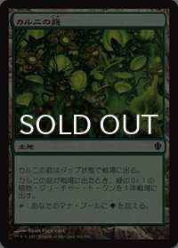 カルニの庭/Khalni Garden 【日本語版】 [C13-土地C]