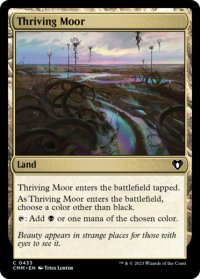 興隆する湿地帯/Thriving Moor 【英語版】 [CMM-土地C]