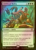 [FOIL] 生命線のハイドラ/Lifeblood Hydra 【英語版】 [CMM-緑R]