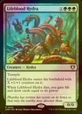 [FOIL] 生命線のハイドラ/Lifeblood Hydra 【英語版】 [CMM-緑R]