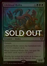 [FOIL] 生命線のハイドラ/Lifeblood Hydra 【英語版】 [CMM-緑R]