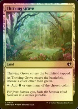 画像1: [FOIL] 興隆する木立/Thriving Grove 【英語版】 [CMM-土地C]