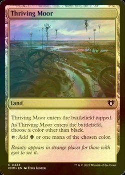 画像1: [FOIL] 興隆する湿地帯/Thriving Moor 【英語版】 [CMM-土地C]