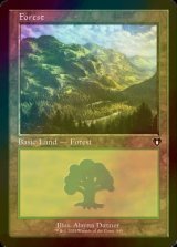 [FOIL] 森/Forest No.449 (旧枠) 【英語版】 [CMM-土地C]