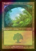 [FOIL] 森/Forest No.451 (旧枠) 【英語版】 [CMM-土地C]